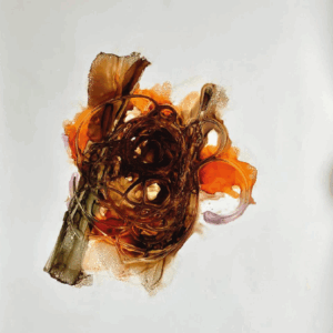 Metamorfosis