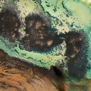 Naturaleza verde II